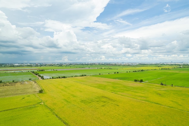 Field background top view landscape nature