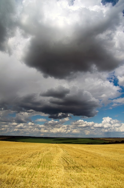 Field and the beautiful blue sky