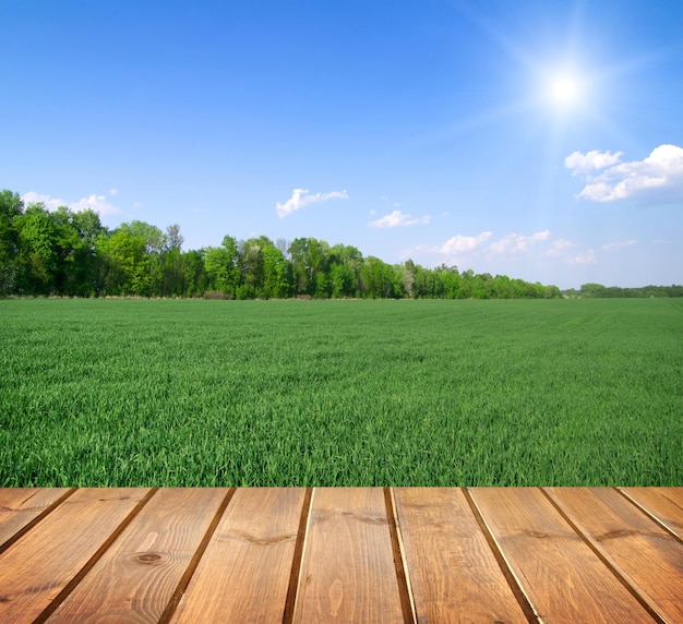 Foto campo sotto il cielo blu pavimento in assi di legno