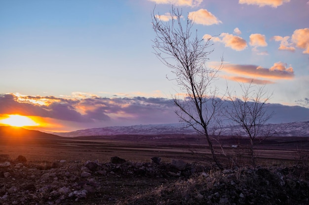 Field and colorful clouds at sunset