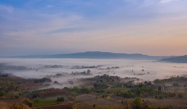 Field covered by fog at sunrise