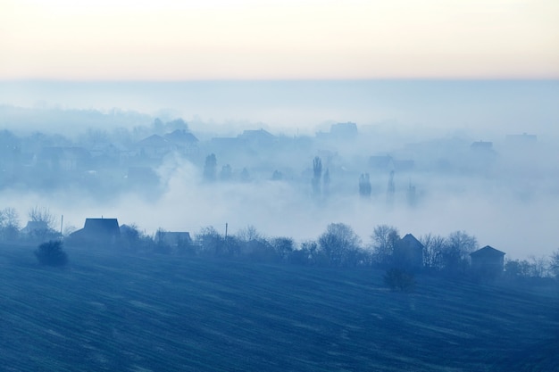 Field covered in fog