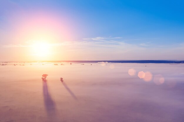 写真 夕暮れの霧で覆われた畑