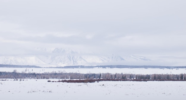 Photo field covered with snow at the great teton national park.