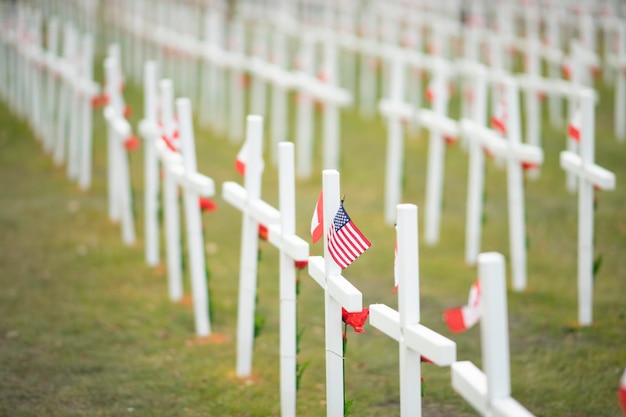 Field of crosses to mark Canada's remembrance day