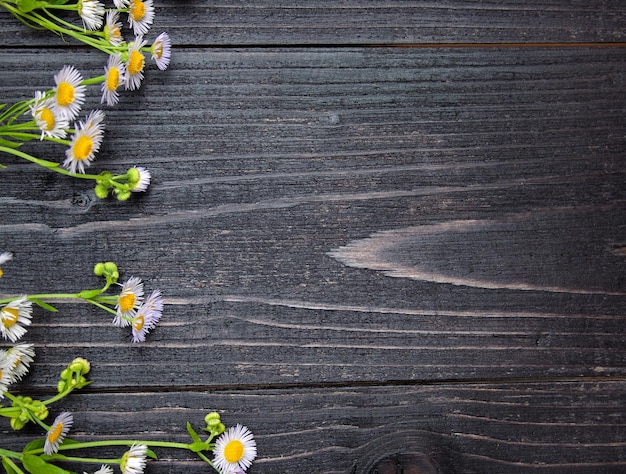 写真 暗い木製の背景のコピースペースのフィールドの細な花