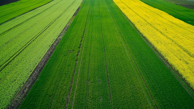 Field of different crops shooting from a drone