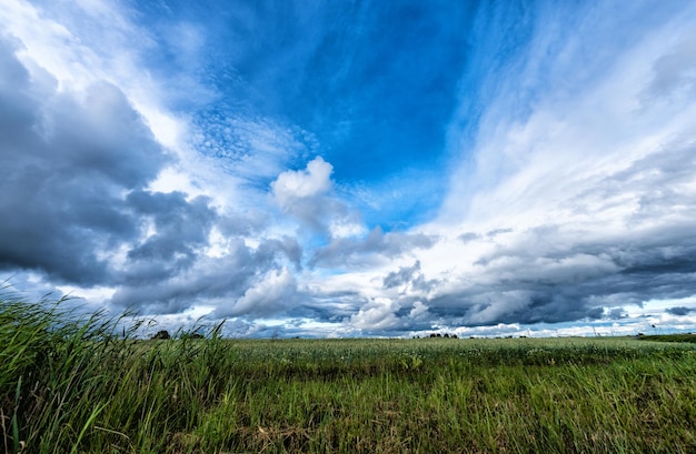 Field and dramatic sky