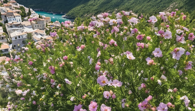 Photo a field of flowers with a mountain in the background