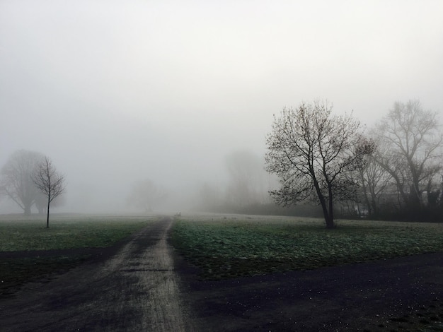 Foto campo in tempo di nebbia