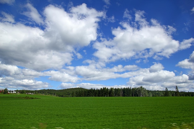 The field and the forest in Norway Scandinavia