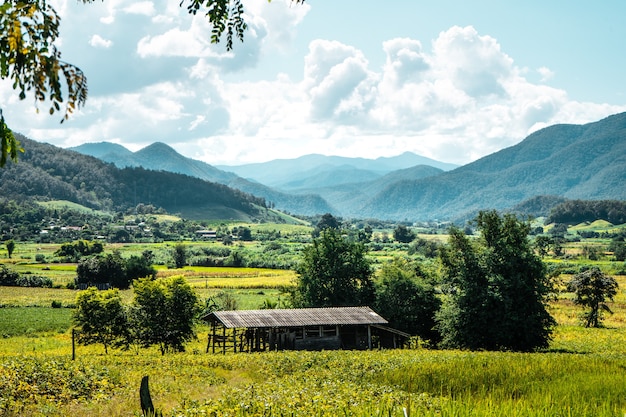 Field in the garden,Mountain views and green fields on a clear day