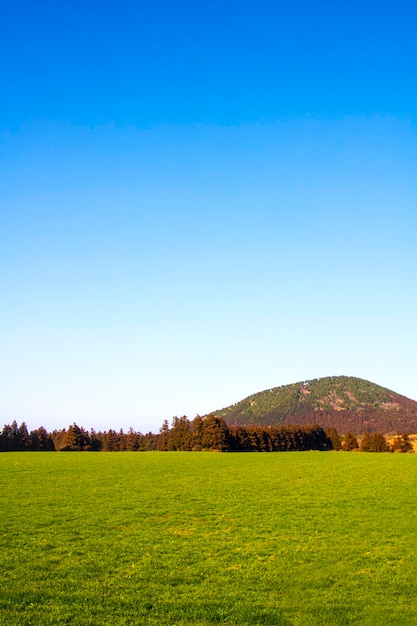 Field of grass and perfect sky in jeju island korea