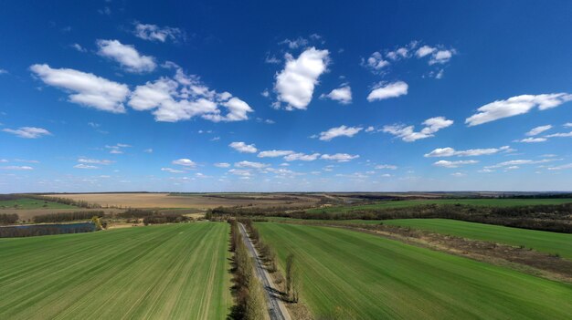 Field of grass and perfect sky