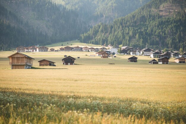 Foto un campo di erba con case sullo sfondo e una montagna sullo sfondo