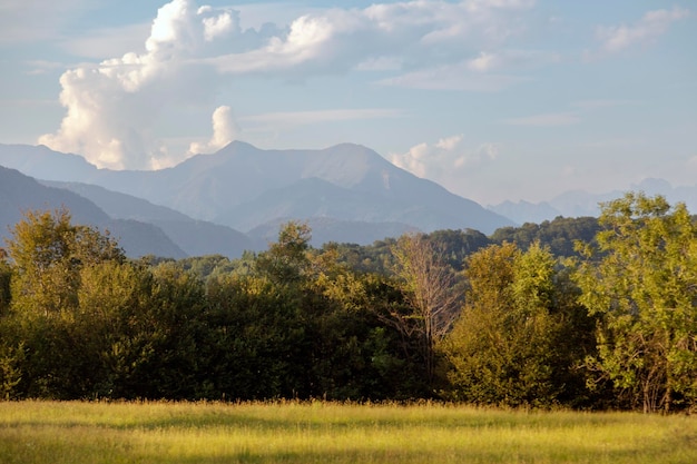 Photo a field of grass with mountains in the background