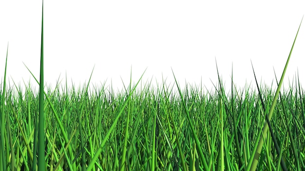 a field of grass with a white background