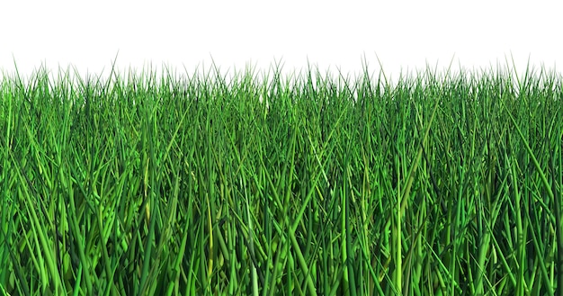 a field of grass with a white sky in the background