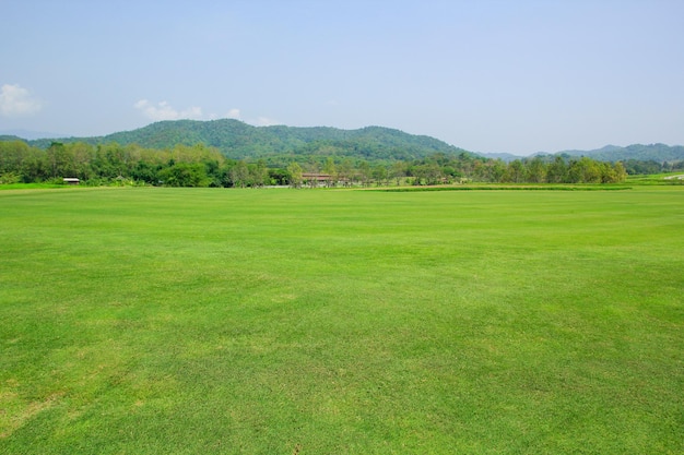 field green grass blue sky with cloud cloudy landscape background