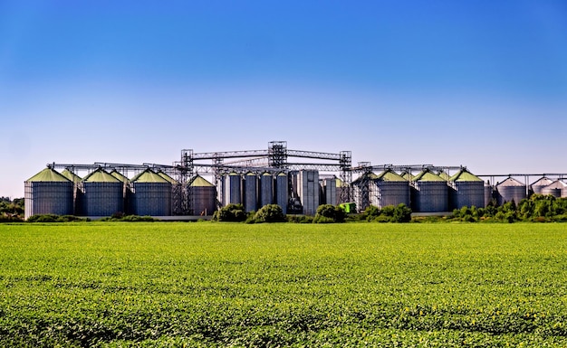 Photo field of green grass and blue sky with silos in the distance