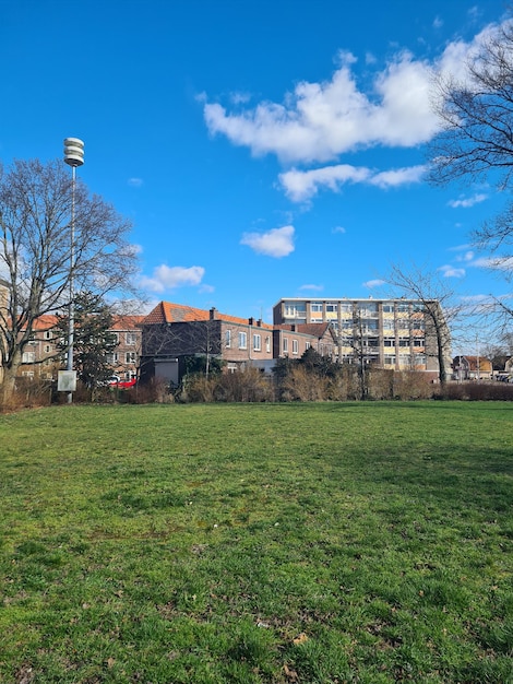 A field of green grass with a building in the background