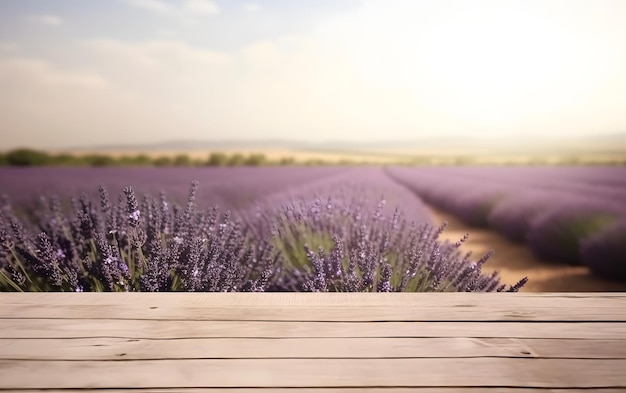 A field of lavender with a sky in the background