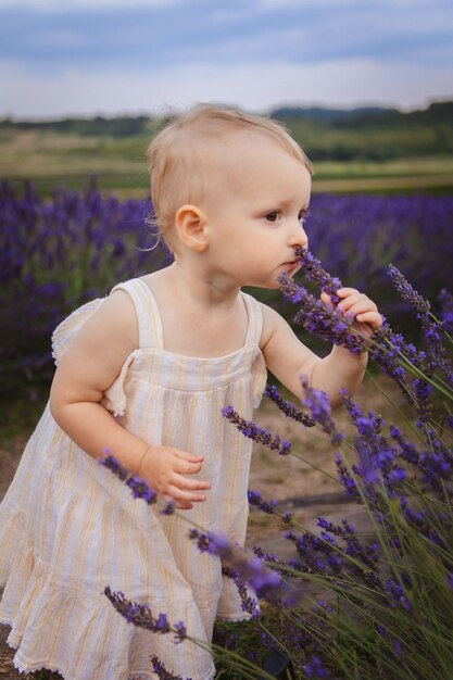 野原で小さな女の子が鼻でラベンダー花のいを嗅いでいます