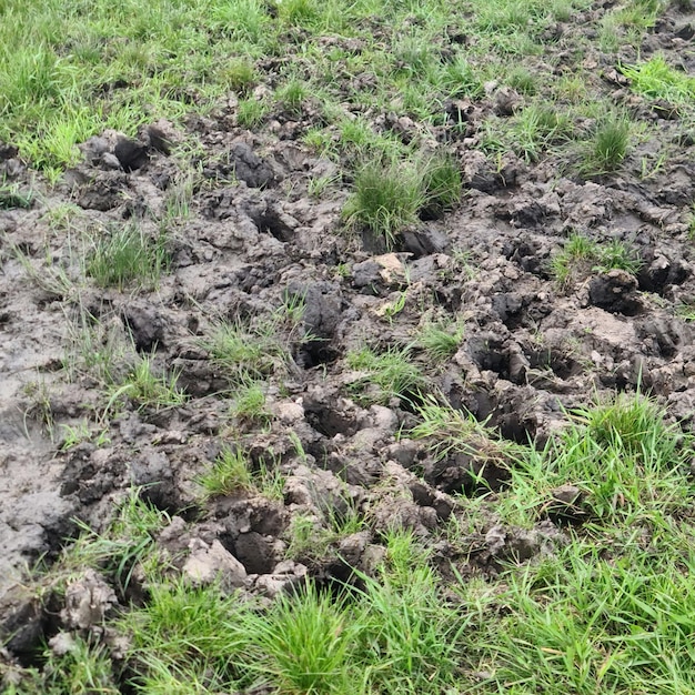 A field of mud with a hole in the middle of it