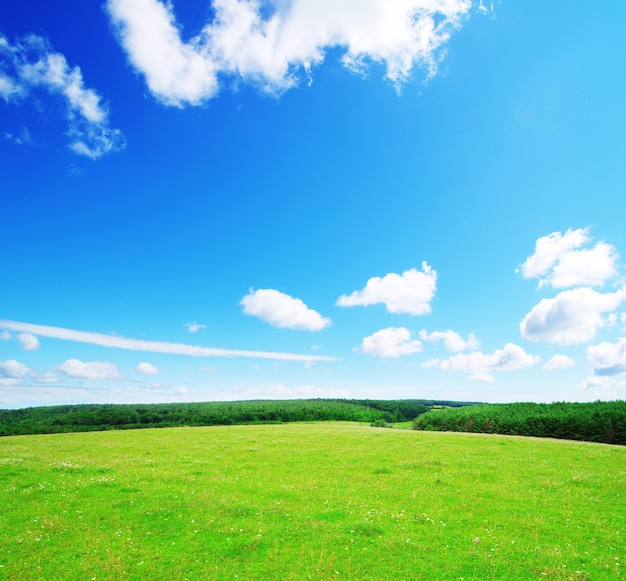 写真 青い空を背景にフィールド