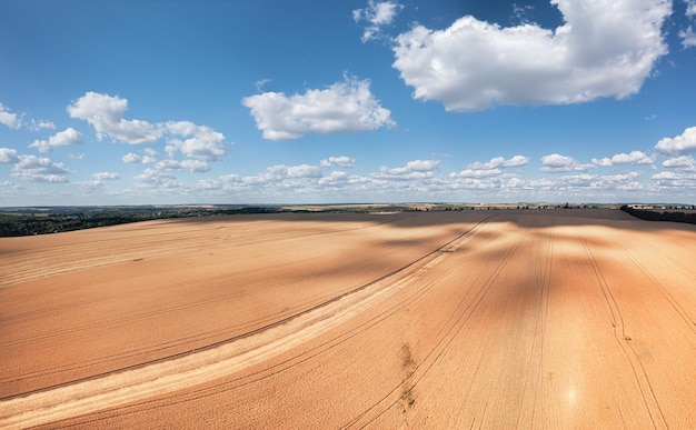 Field of ripe wheat Drone view Abstract natural background