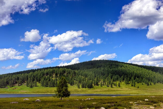 Field, river, trees on hills against blue sky with white clouds
