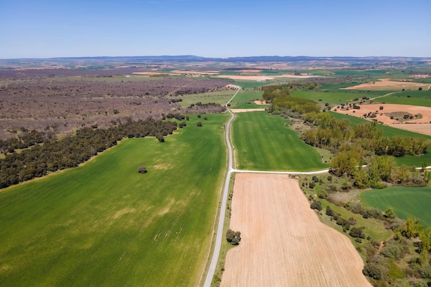 Field road circulating between the crops planted in the plain