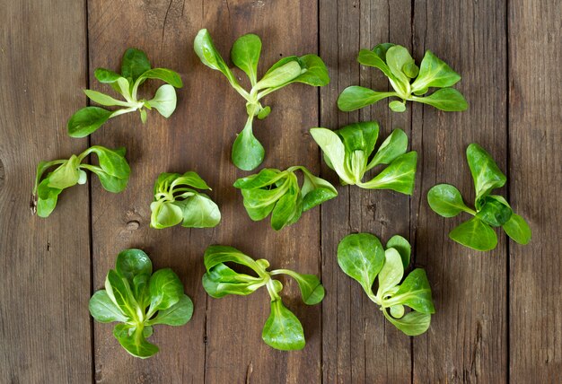 Photo field salad  on a wooden table top view