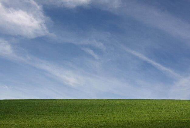 Field and sky