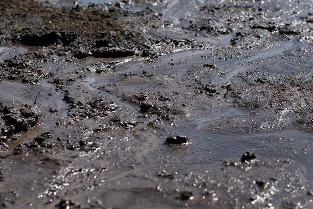 Field soil, dark texture of dirt of farmland, close up photo