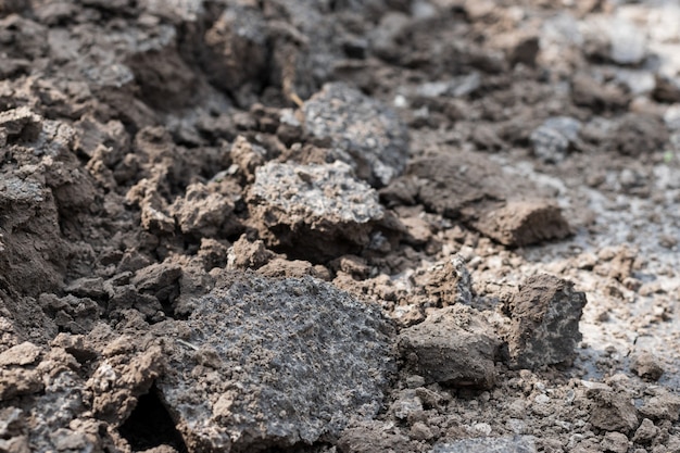 Field soil, dark texture of dirt of farmland, close up photo