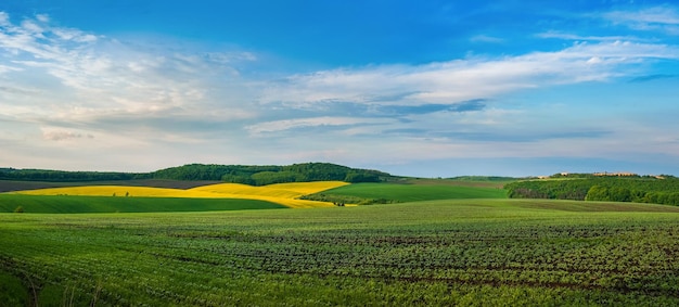 A field of sprouts in the foreground rapeseed and green fields and the blue sky above