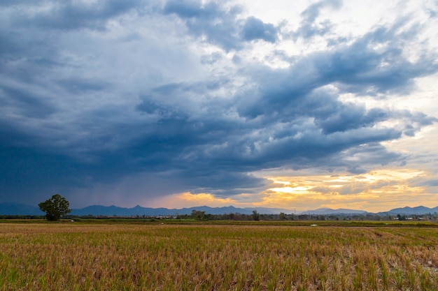 field and storm rainclouds 