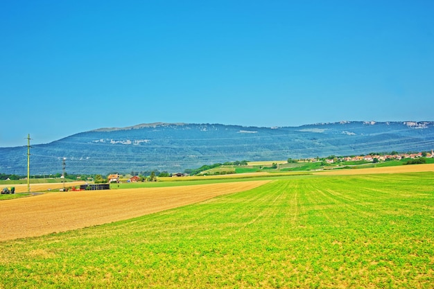 스위스 주라 노르 보두아(Jura Nord Vaudois) 지구의 이베르동 레 방(Yverdon les Bains)에 있는 스위스 마을의 들판.