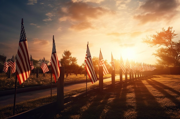 A field of tall grass with the american flag