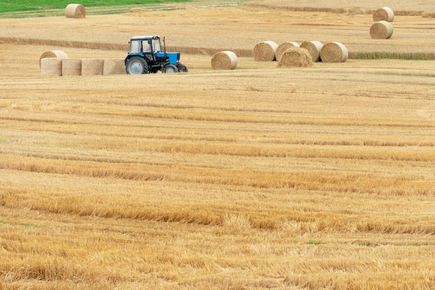 В поле рядом с тюком сена стоит трактор. По полю разбросаны тюки сена или соломы. Сбор урожая и приготовление корма для скота.