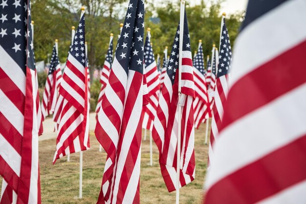 Photo field of veterans day american flags waving in the breeze