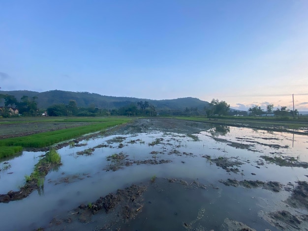 Photo a field of water with a blue sky in the background