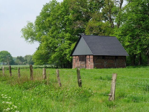 Field in westphalia