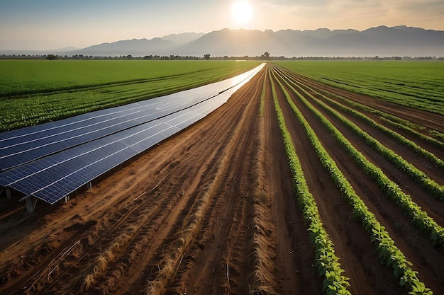 Photo field of wheat with solar panel