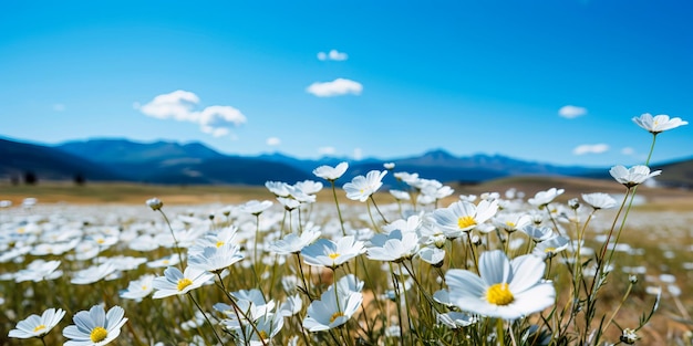 Field of wildflowers swaying in the breeze under a clear blue sky generative ai