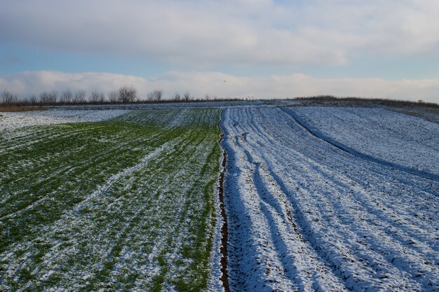 Field in the winter under snow