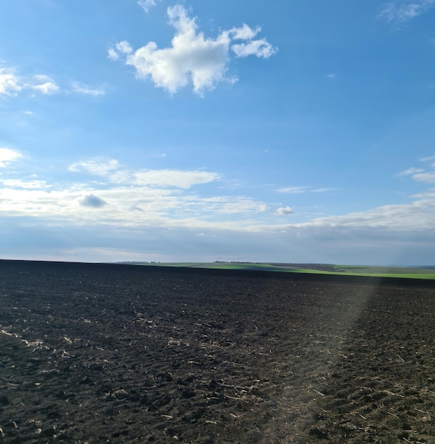 A field with a blue sky and a cloud that is in the middle