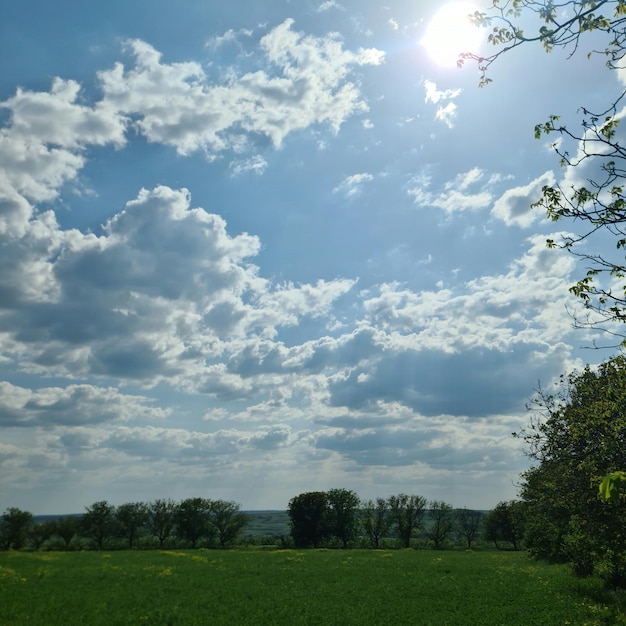 A field with a blue sky and clouds