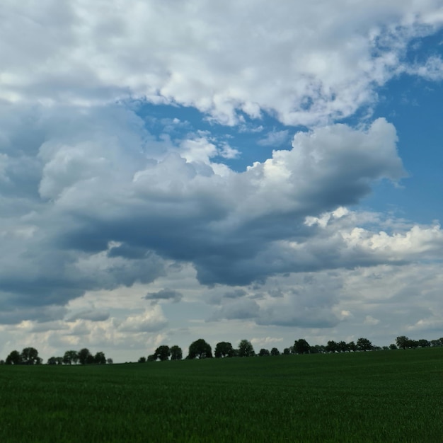 A field with a blue sky and clouds